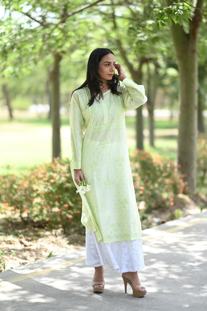 Banarsi Chanderi Exc
