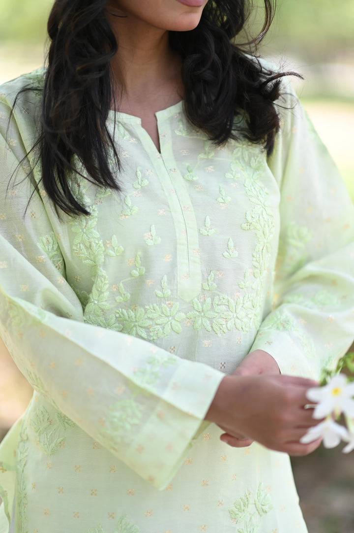 Banarsi Chanderi Exc